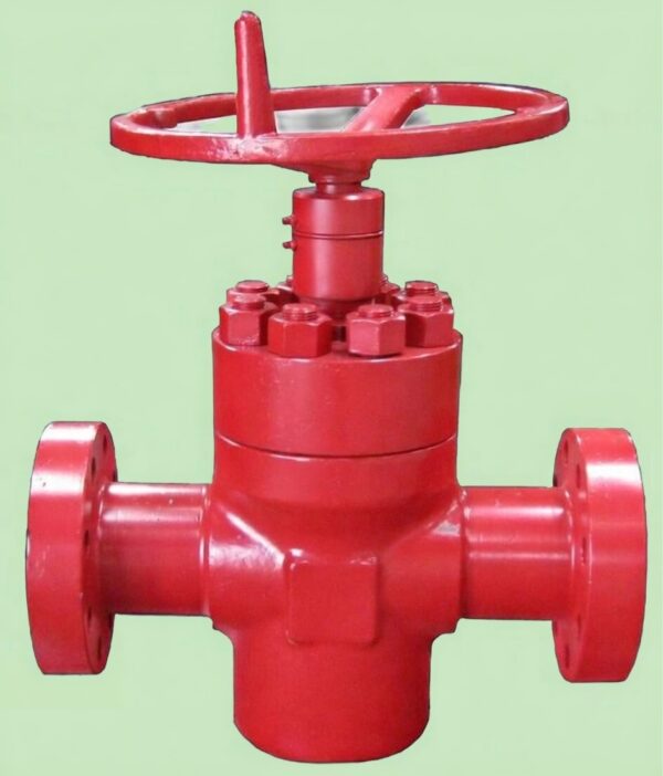 API 6A Gate Valve – Canny Engineering Services